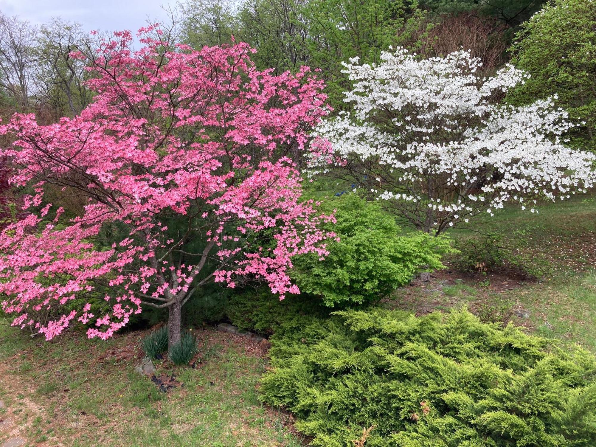 Purcellville Home Ngoại thất bức ảnh