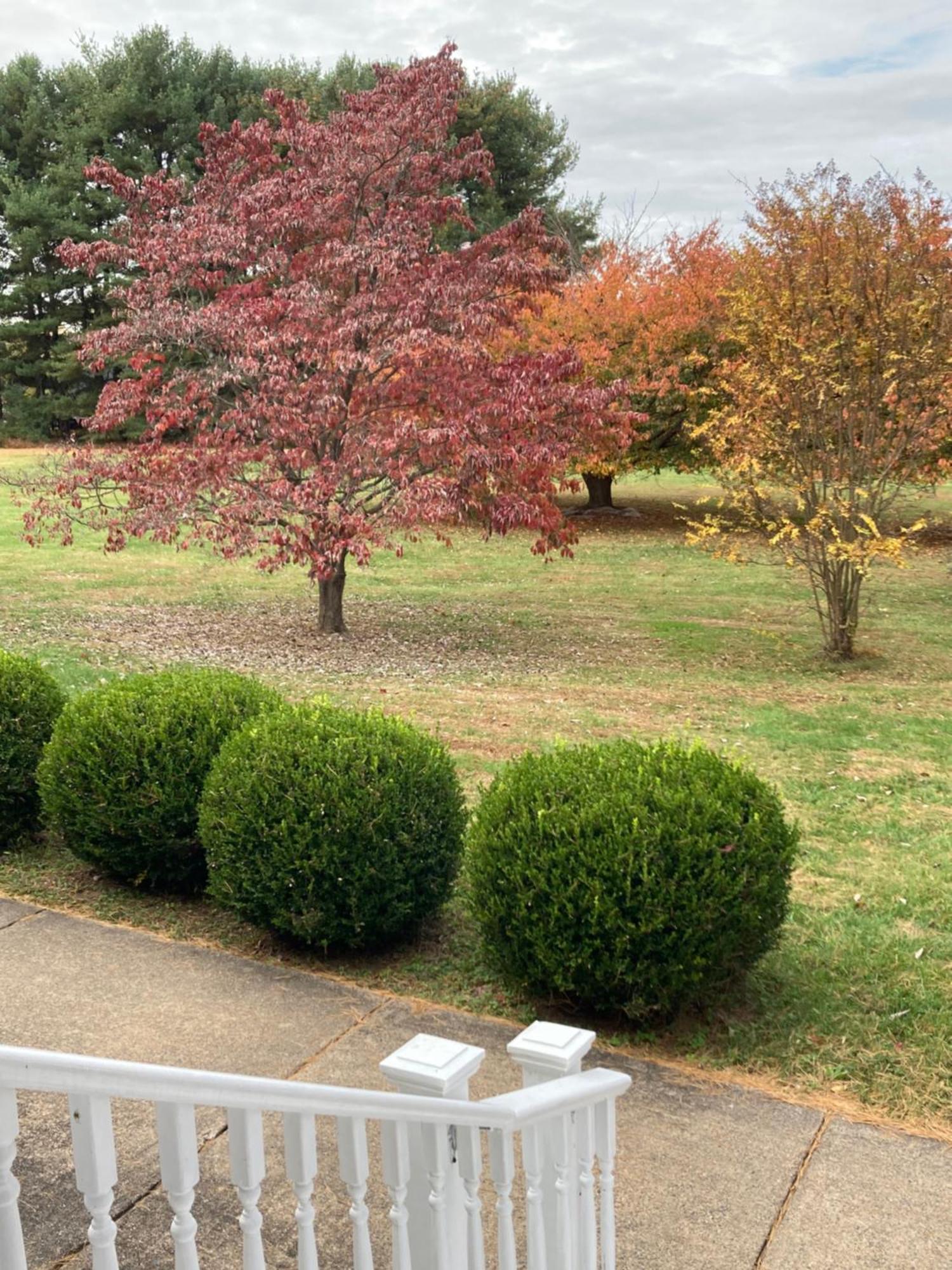 Purcellville Home Ngoại thất bức ảnh