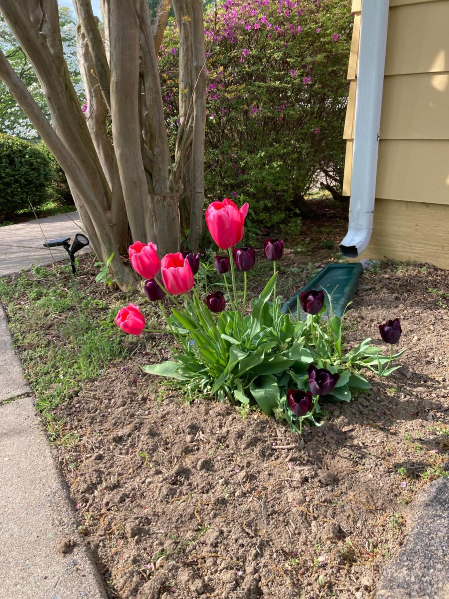 Purcellville Home Ngoại thất bức ảnh