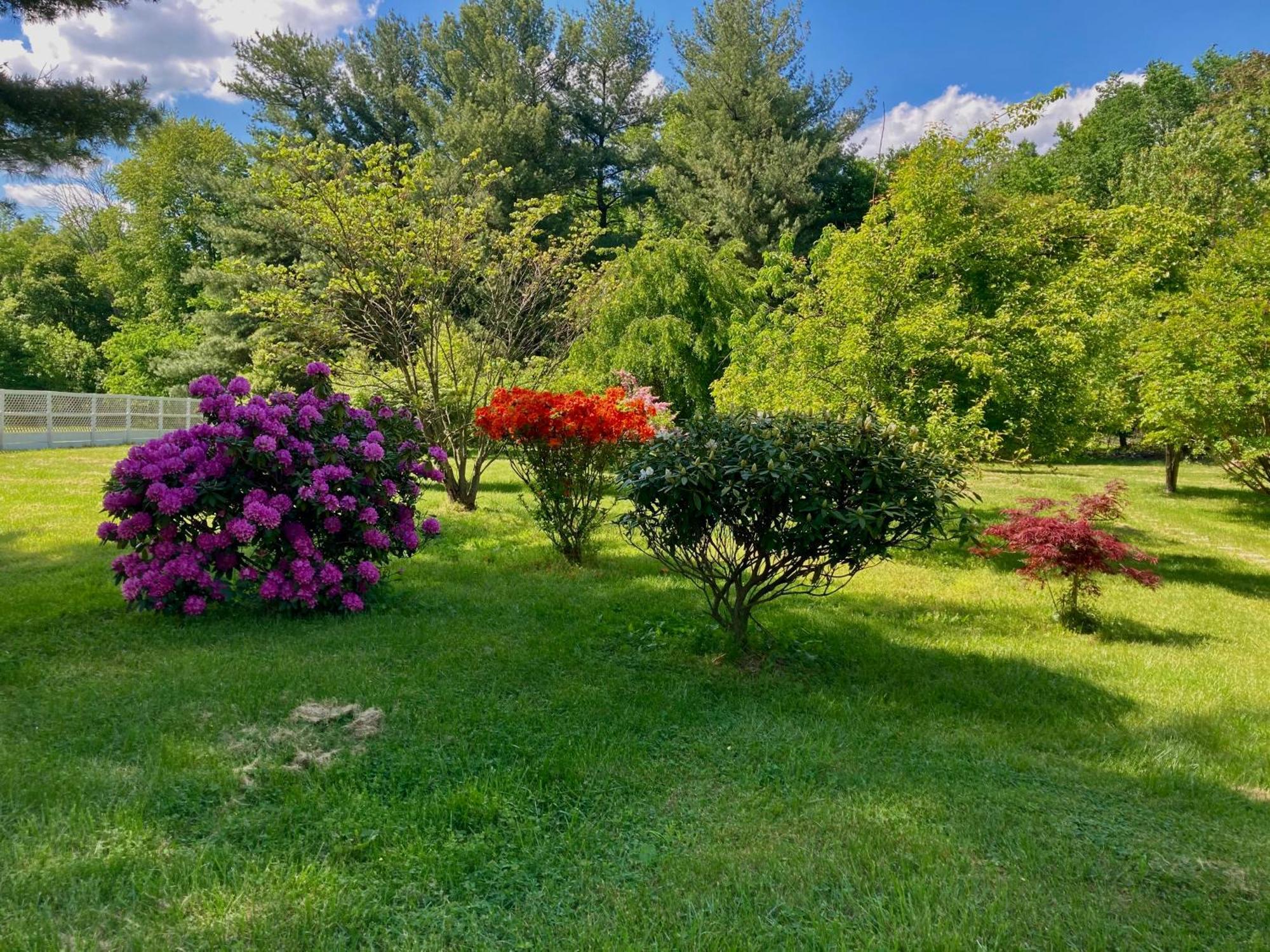 Purcellville Home Ngoại thất bức ảnh