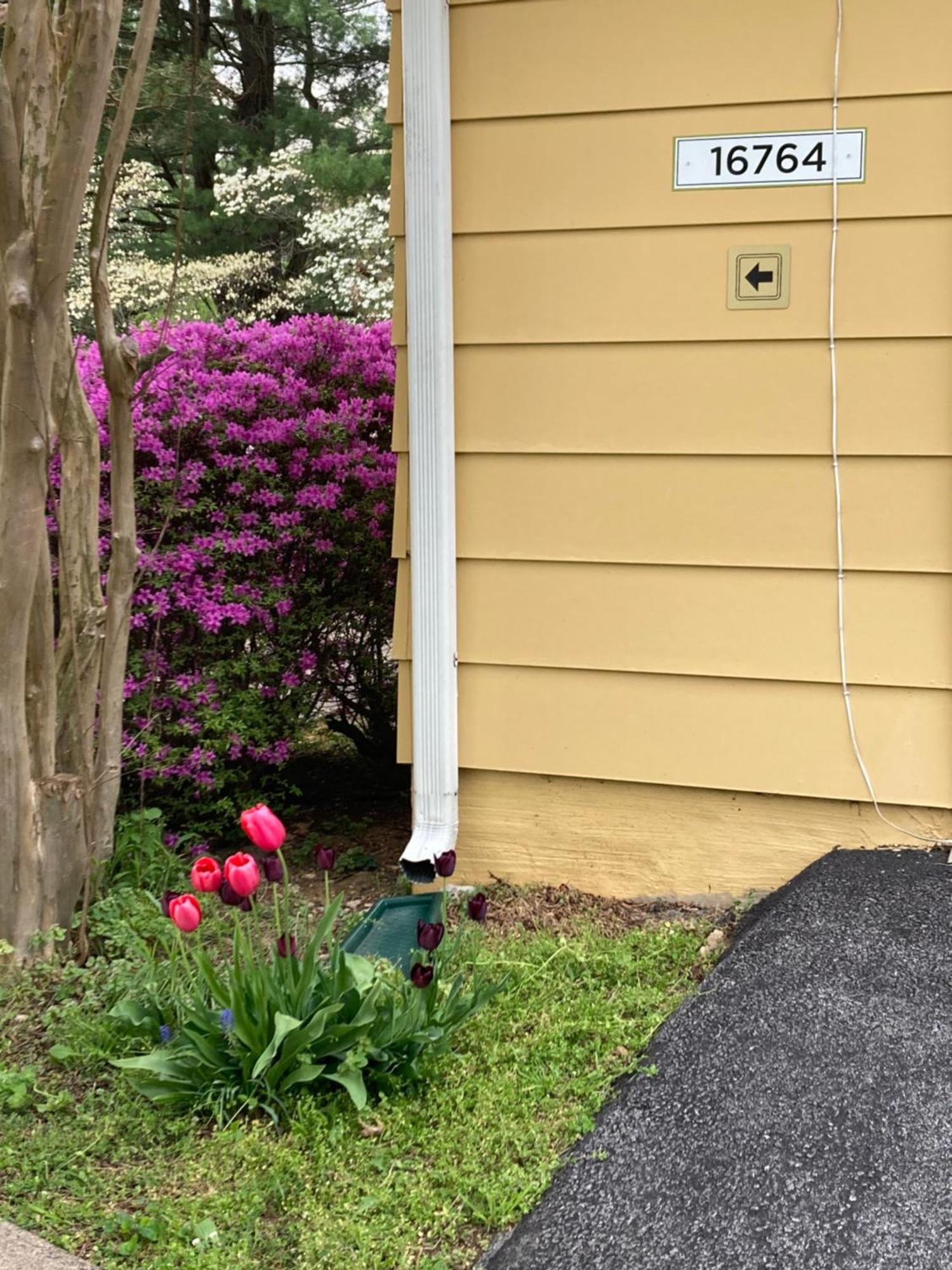 Purcellville Home Ngoại thất bức ảnh